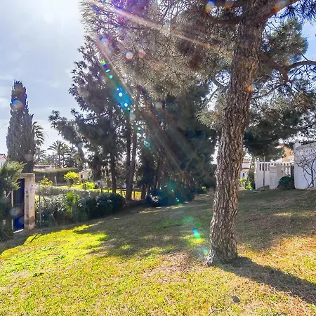 2 Bedroom Pet Friendly In Mijas